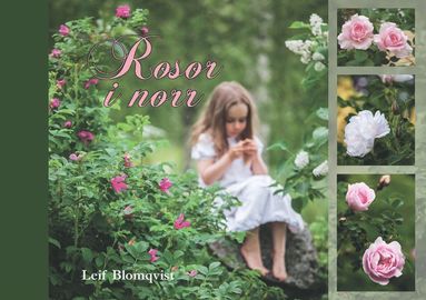 Leif Blomqvist Rosor i norr