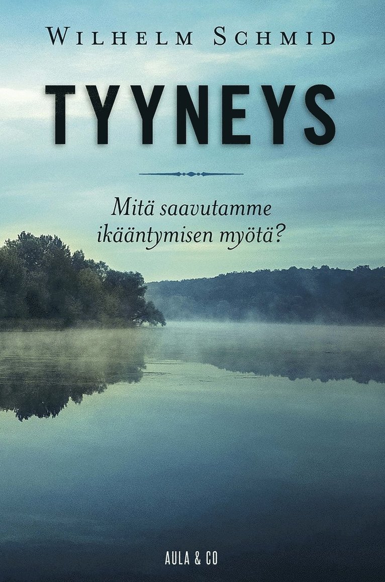 Wilhelm Schmid - Tyyneys, E-bok