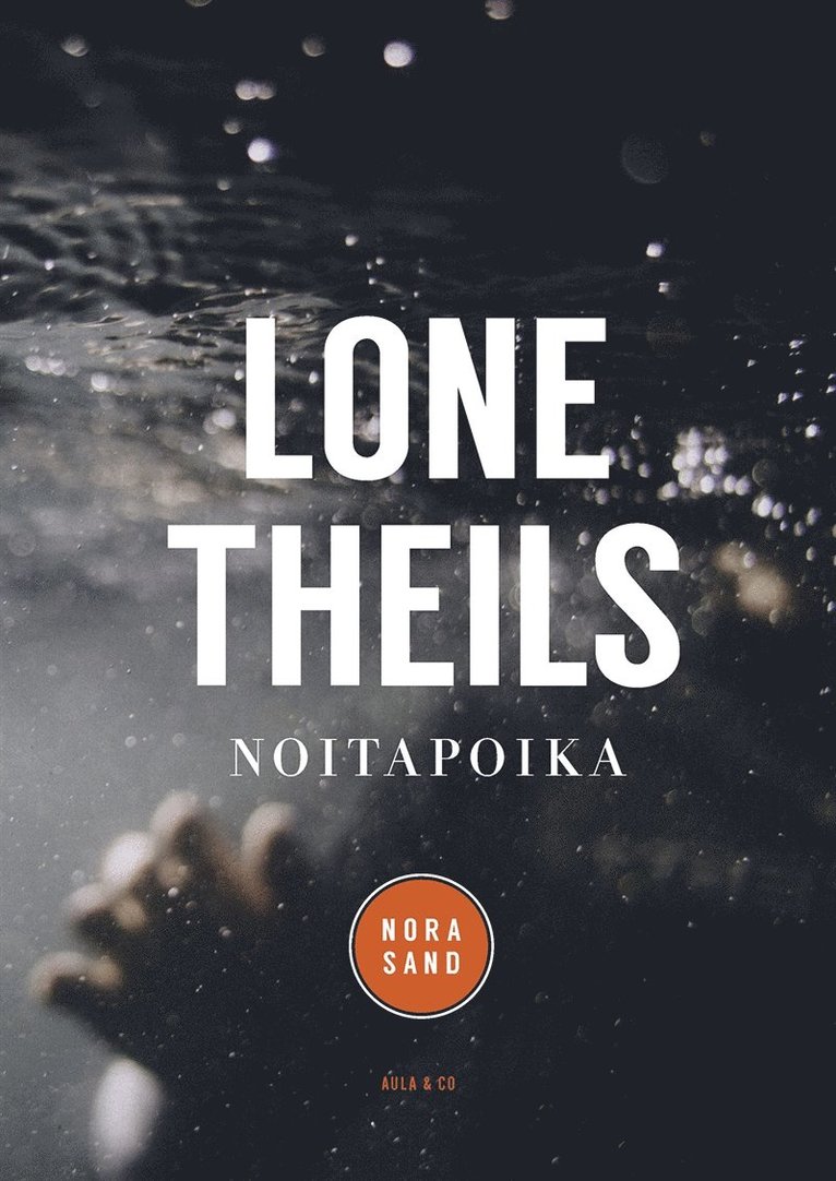 Lone Theils - Noitapoika, E-bok