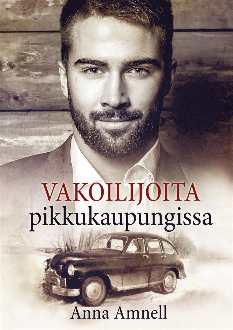 Anna Amnell - Vakoilijoita pikkukaupungissa, E-bok