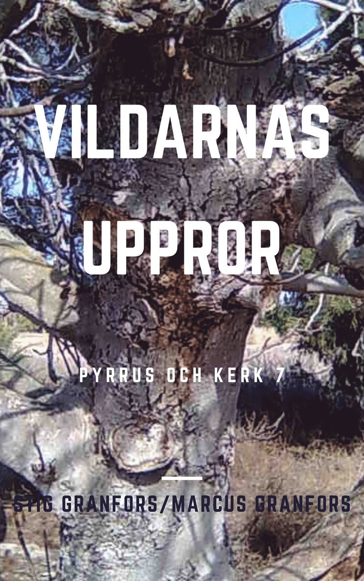Stig Granfors, Marcus Granfors - Vildarnas uppror Pyrrus och Kerk 7, E-bok
