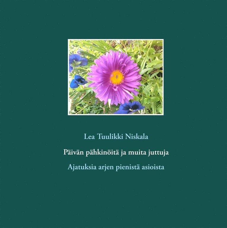 Lea Tuulikki Niskala - Päivän pähkinöitä ja muita juttuja: Ajatuksia arjen pienistä asioista, E-bok