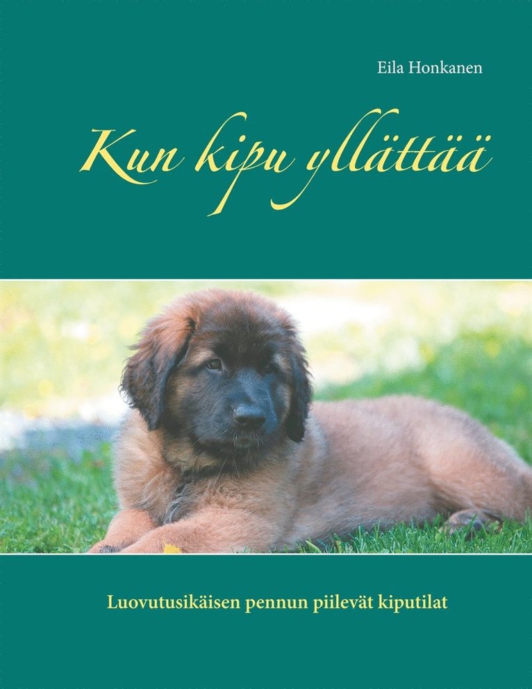 Eila Honkanen - Kun kipu yllättää, E-bok