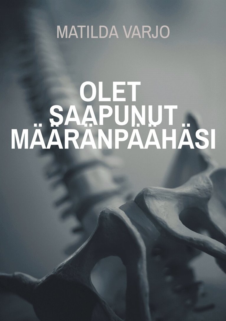 Matilda Varjo - Olet saapunut määränpäähäsi, E-bok