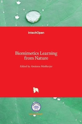 Amitava Mukherjee - Biomimetics: Learning from Nature, Inbunden. Tillgänglighet: Lägg i varukorg
