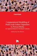 Computational Modelling Of Multi-scale Solute Dispersion In Porous Media