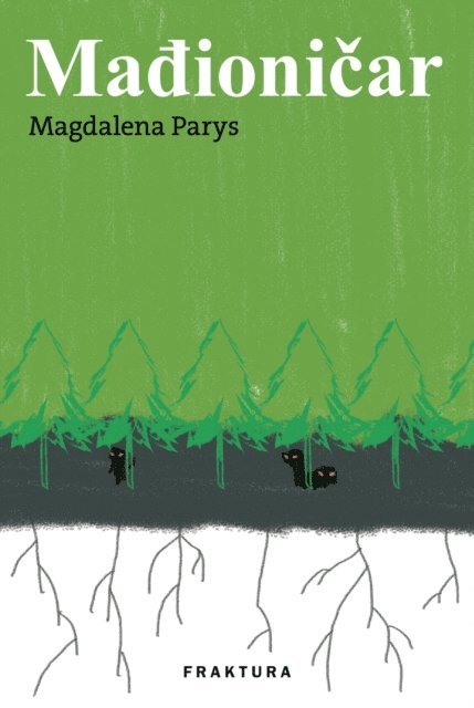 Magdalena Parys - Mađioničar, E-bok