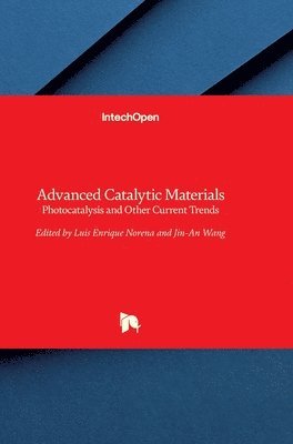 Luis Enrique Norena, Jin-An Wang - Advanced Catalytic Materials, Inbunden