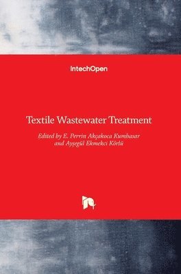 E. Perrin Akçakoca Kumbasar, Ayşegül Ekmekci Körlü - Textile Wastewater Treatment, Inbunden