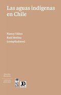 aguas ind genas en Chile