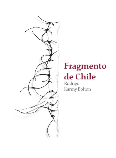 Rodrigo Karmy Bolton - Fragmento de Chile, E-bok. Tillgänglighet: Lägg i varukorg