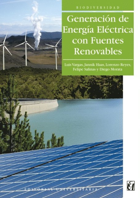 Diego Morata, Felipe Salinas, Lorenzo Reyes, Jannik Haas, Luis Vargas - Generación de energía eléctrica con fuentes renovables, E-bok
