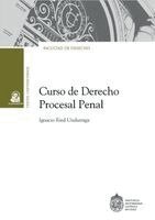 Ignacio Ried Undurraga - Curso de Derecho Procesal Penal, Häftad