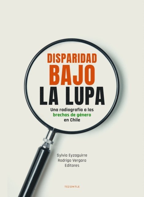 Rodrigo Vergara Montes, Sylvia Eyzaguirre Tafra - Disparidad bajo la lupa, E-bok