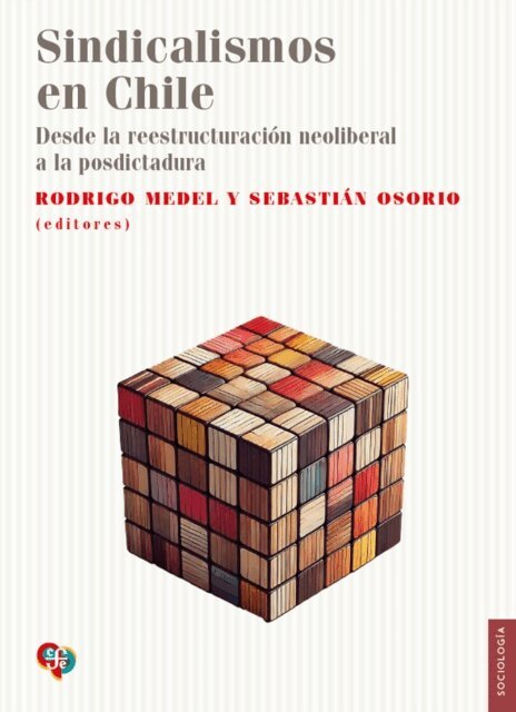 Sebastian Osorio, Rodrigo Medel, VV. AA. - Sindicalismos en Chile, E-bok