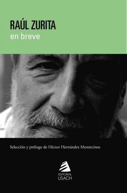 Raul Zurita - Raúl Zurita, E-bok