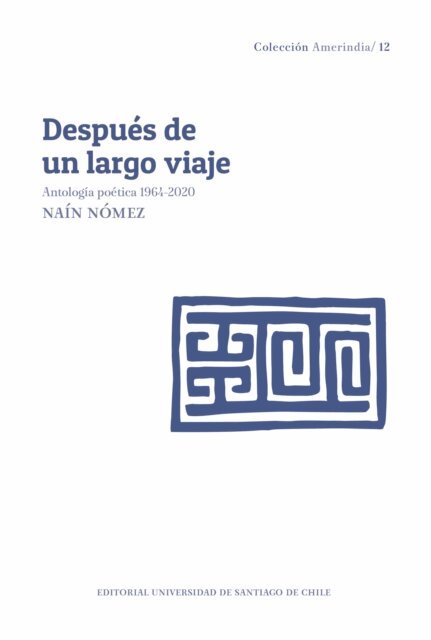 Nain Nomez - Despues de un largo viaje, E-bok