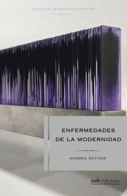 Andrea Kottow - Enfermedades de la modernidad, E-bok