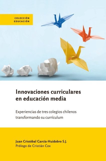 Juan Cristobal Garcia-Huidobro - Innovaciones curriculares en educación media, E-bok