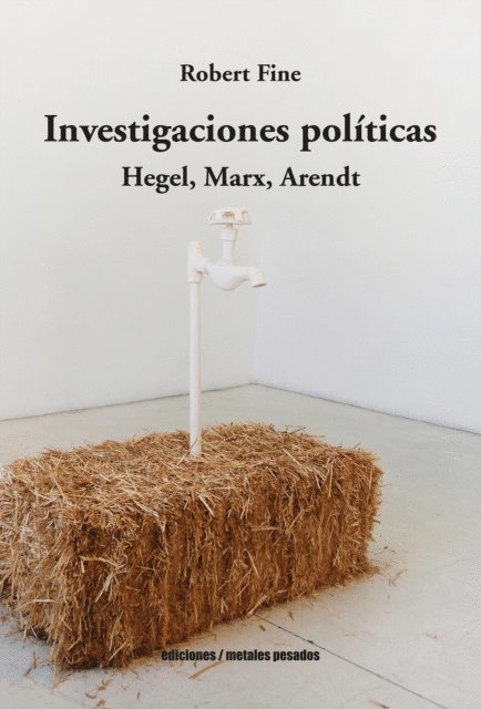 Robert Fine - Investigaciones políticas, E-bok