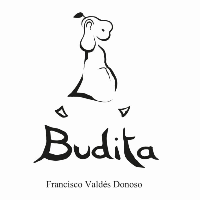 Francisco Valdes Donoso - Budita, E-bok