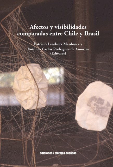 Antonio Carlos Rodrigues de Amorim, Patricio Landaeta Mardones - Afectos y visibilidades comparadas entre Chile y Brasil, E-bok
