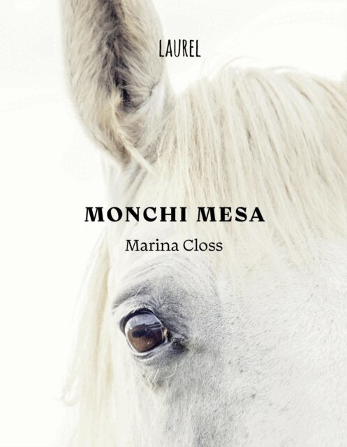 Marina Closs - Monchi Mesa, E-bok
