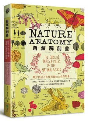 Julia Rothman - Nature Anatomy, Häftad