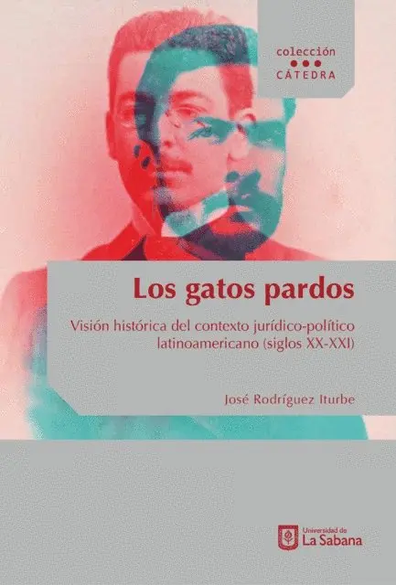 Jose Rodriguez Iturbe - Los gatos pardos, E-bok. Tillgänglighet: Lägg i varukorg