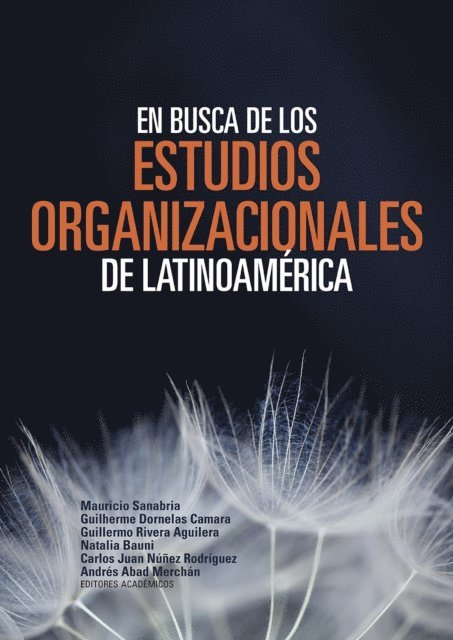 Juan Javier Saavedra, Rafael Kruter Flores, Paulo Abdala, Gabriela Camacho Deonicio, Alejandro Espinosa Yanez, Oscar Lozano Carrillo, Guillermo Ramirez Martinez, Franco Pablo Payro Campos, Fabiola de Jesus Mapen, Jorge Alberto Rosas Castro, Andres Abad Merchan, Carlos Juan Nunez Rodriguez, Natalia Bauni, Guillermo Rivera Aguilera, Guilherme Dornelas Camara, Mauricio Sanabria - En busca de los estudios organizacionales de Latinoamérica, E-bok
