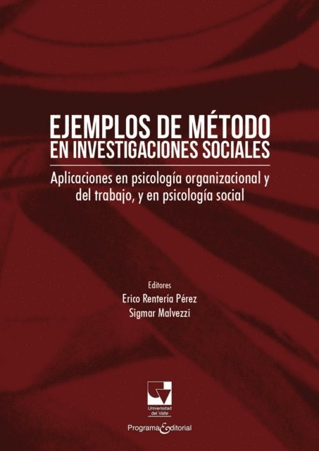 Sigmar Malvezzi, Erico Renteria Perez - Ejemplos de método en investigaciones sociales, E-bok