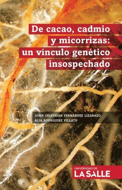 De cacao, cadmio y micorrizas