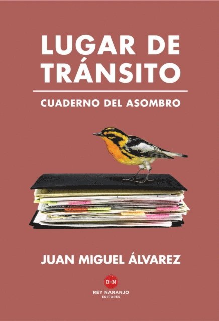 Juan Miguel Alvarez - Lugar de tránsito, E-bok