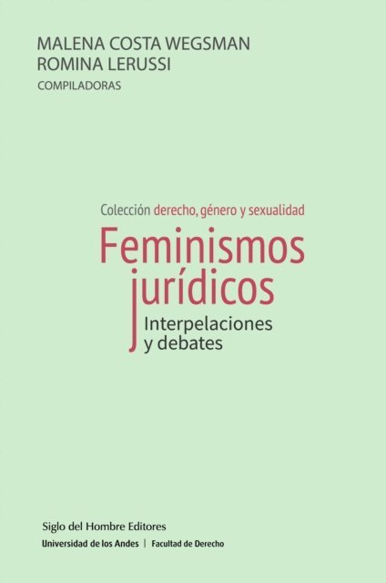 Blas Radi, Emiliano Litardo, Craig Willse, Dean Spade, Virginia Cano, Violeta Canaves, Katherine Franke, Eduardo Mattio, Patricia Gonzalez Prado, Mary Joe Frug, Yuderkys Espinosa Minoso, Cecilia Ezpeleta, Kimberle Crenshaw - Feminismos jurídicos, E-bok