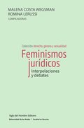 Feminismos jurÿdicos