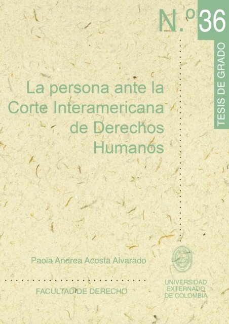 Paola Andrea Acosta Alvarado - La persona ante la Corte Interamericana de Derechos Humanos, E-bok