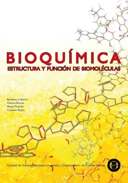 Adriana Marcela Lozano Barrero, Claudia Rozo, Cecilia Bacca - Bioquímica: estructura y función de biomoléculas, E-bok. Tillgänglighet: Lägg i varukorg