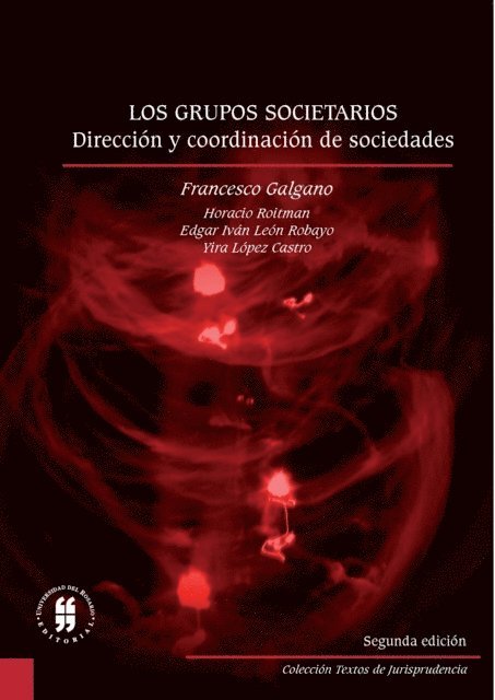 Yira Lopez Castro, Edgar Ivan Robayo Leon, Horacio Roitman, Francesco Galeano - Los grupos societarios dirección y coordinación de sociedades, E-bok