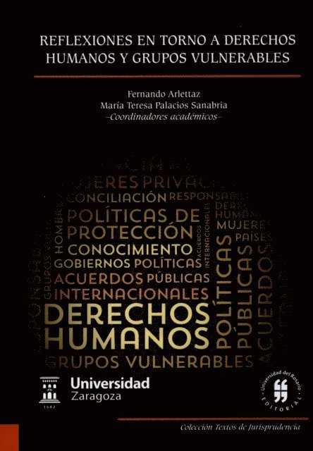 Maria Teresa Palacios Sanabria, Fernando Arlettaz - Reflexiones en torno a derechos humanos y grupos vulnerables, E-bok