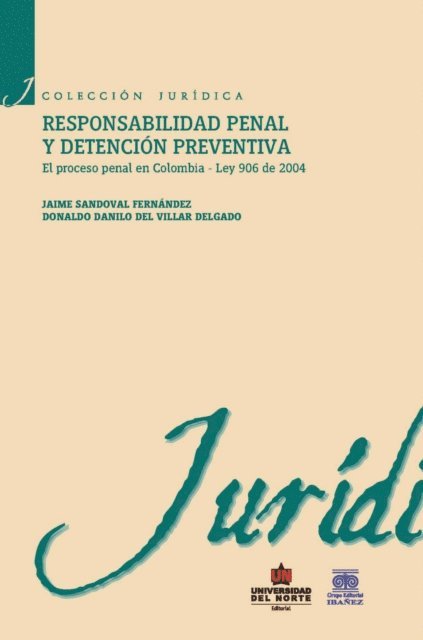 Donaldo Danilo Del Villar Delgado, Jaime Sandoval Fernandez - Responsabilidad penal y detención preventiva, E-bok