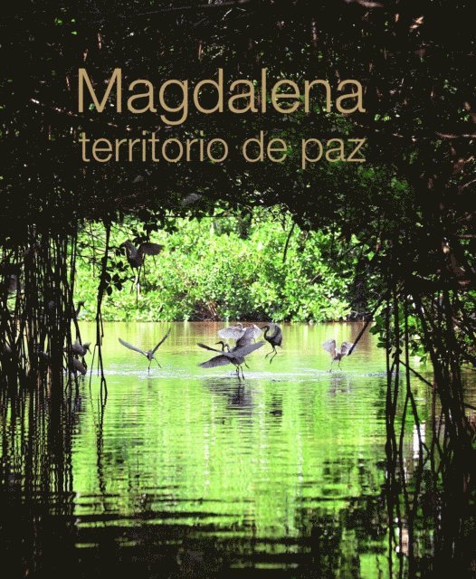 Clinton Ramirez Contreras - Magdalena territorio de paz, E-bok