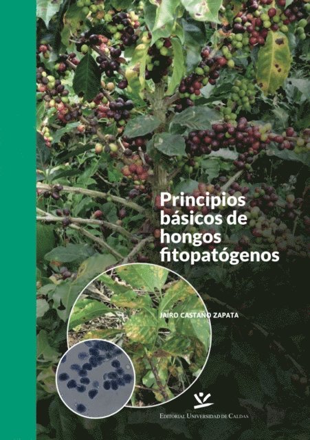 Jairo Castano Zapata - Principios basicos de hongos fitopatogenos, E-bok