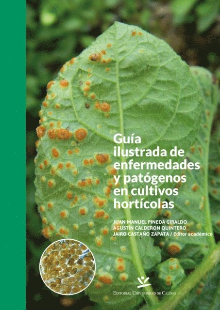 Jairo Castano Zapata, Agustin Calderon Quintero, Juan Manuel Pineda Giraldo - Guia ilustrada de enfermedades y patogenos en cultivos horticolas, E-bok