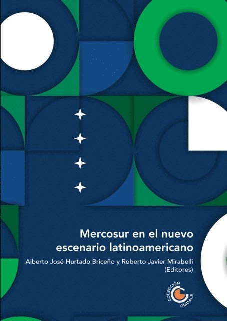 Karla Veronica Felix Jaramillo, Santos Lopez Leyva, Claudia Patricia Sacristan Rodriguez, Cairo Gabriel Borges Junqueira, Karina Lilia Pasquariello Mariano, Sadcidi Zerpa de Hurtado, Maria Victoria Alvarez, Paula Ruiz Camacho, Roberto Javier Mirabelli, Alberto Jose Hurtado Briceno - Mercosur en el nuevo escenario latinoamericano, E-bok