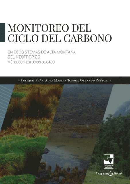 Enrique Javier Pena Salamanca - Monitoreo del ciclo del carbono en Ecosistemas de alta montaña del neotrópico, E-bok