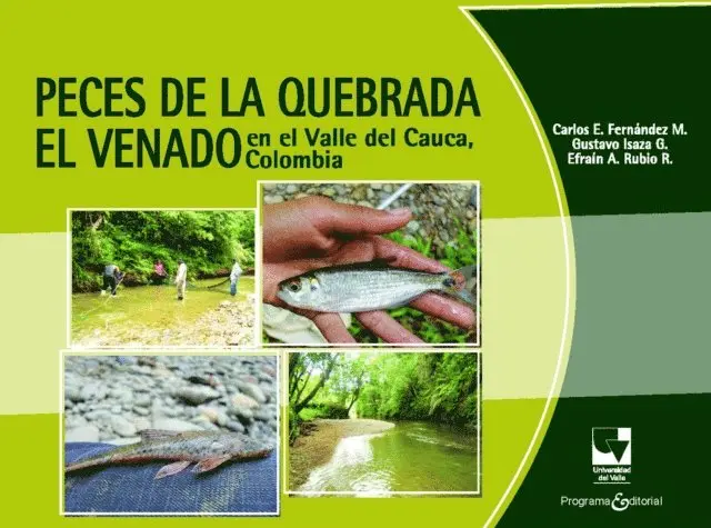 Peces de la quebrada El Venado en el Valle del Cauca, Colombia