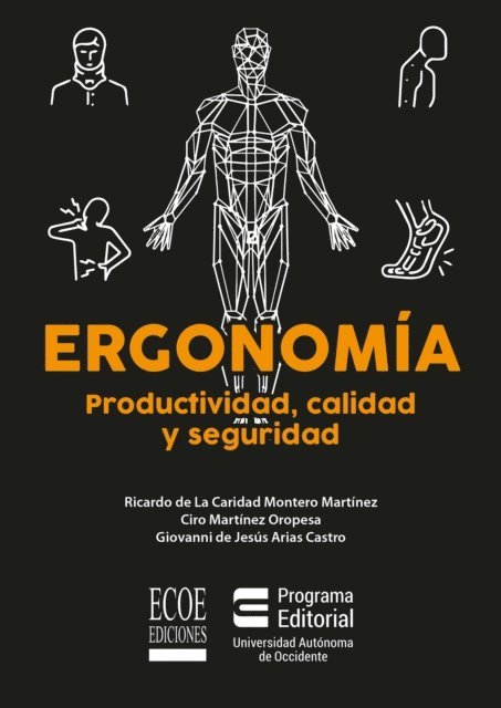 Ciro Martinez Oropesa - Ergonomía: productividad, calidad y seguridad, E-bok