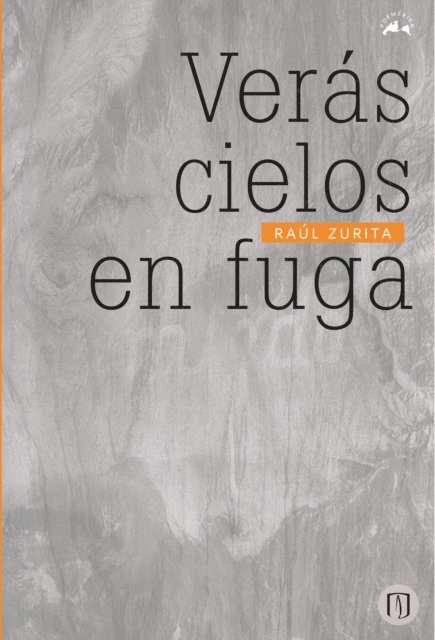 Raul Zurita - Verás cielos en fuga, E-bok
