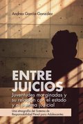 Entre juicios: juventudes marginadas y su relaciÃ³n con el estado y el sistema judicial