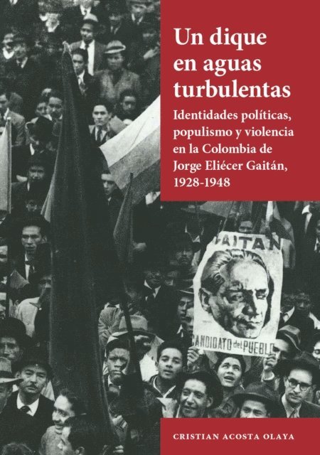 Cristian Acosta Olaya - Un dique en aguas turbulentas, E-bok